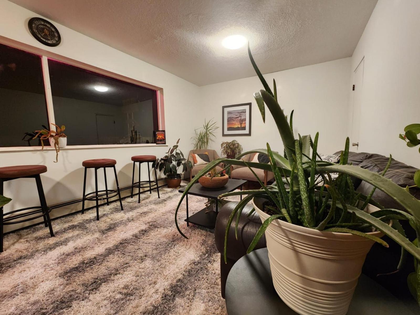 South West Motel Grants Buitenkant foto